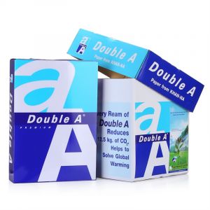 DoubleAA480克复印纸5包/箱