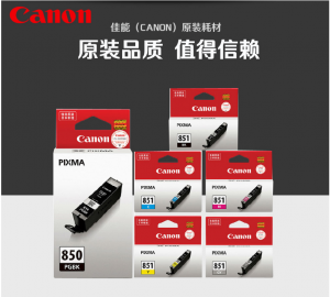 佳能（Canon）PGI-850PGBK/CLI-851BK