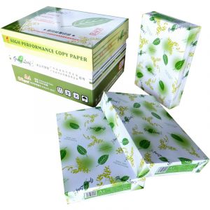 绿叶（GreenLeaf）A5/80g复印纸500张/包绿白包装20包/箱