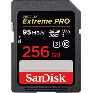 闪迪（SanDisk）256GB读速95MB/s写速90MB/s至尊超极速