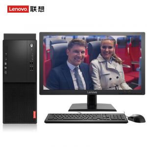联想（Lenovo）启天M415-B113i3-7100/4G/1T/集显/DVDRW/网络同传/19.5寸液晶/Win10神州网信/三年保修台式机