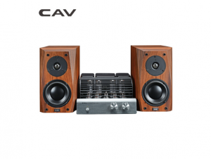 CAV T5-FL25 HIFI胆机功放机高保真桌面书架音响套装 家庭影院木质音响