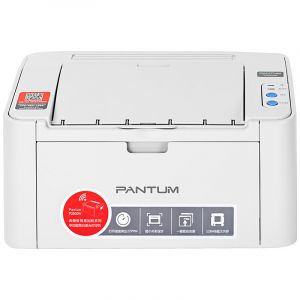 奔图（PANTUM）P2508 黑白激光打印机 A4幅面